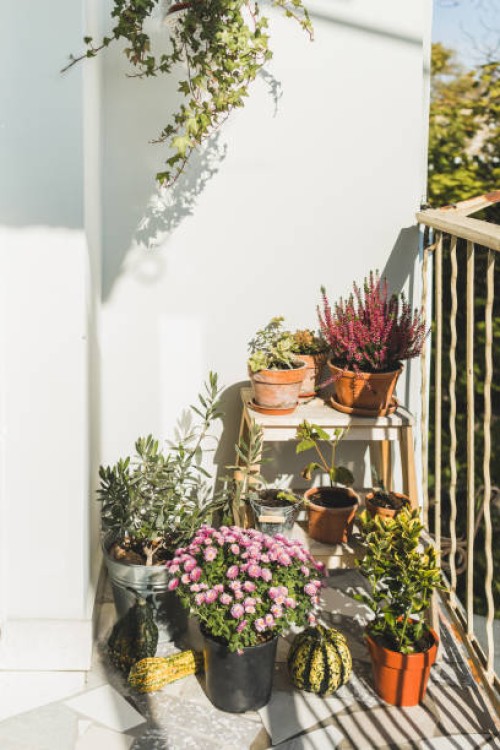 balcony for relaxation with plants and pumpkins. - garden decoration stock pictures, royalty-free photos & images