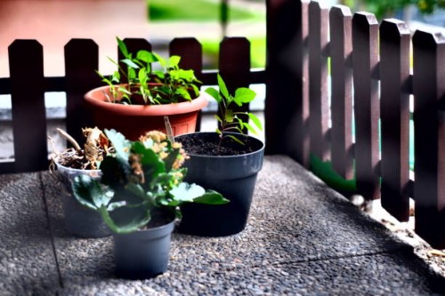 balcony with plants and small wooden detached - garden decoration stock pictures, royalty-free photos & images