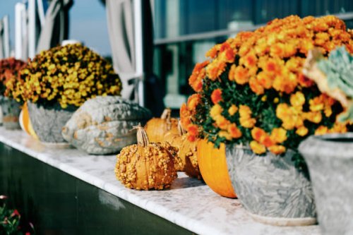 baltimore during covid-19 - garden decoration stock pictures, royalty-free photos & images