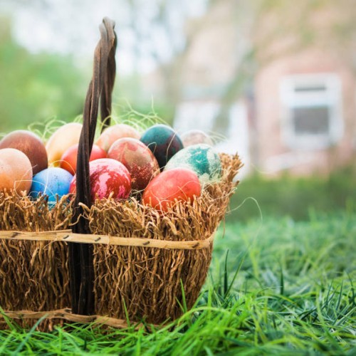 basket of colorful easter eggs - garden decoration stock pictures, royalty-free photos & images