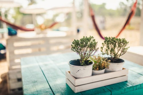 beach cafe table with fresh flower pot on it - garden decoration stock pictures, royalty-free photos & images
