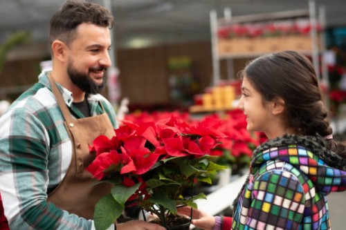 bearded gardener works in greenhouse, man and girl with plan - garden decoration stock pictures, royalty-free photos & images