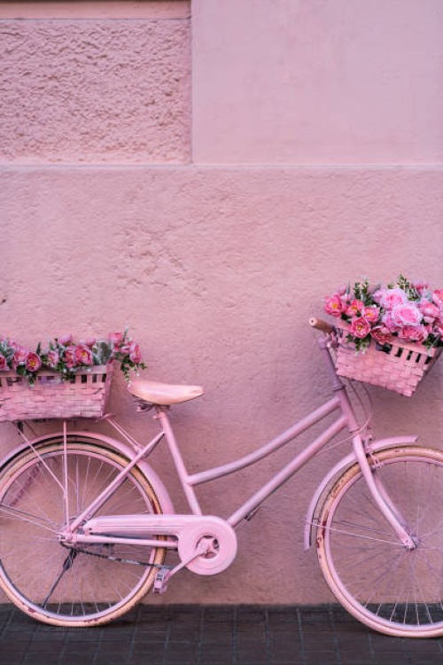 beautiful city bike decorated with basket of pink flowers fully painted pink. pink wall background. vertical front shoot - garden decoration stock pictures, royalty-free photos & images