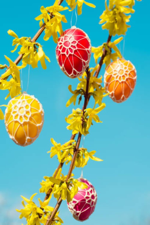 beautiful easter eggs hanging from a blooming forsythia - garden decoration stock pictures, royalty-free photos & images