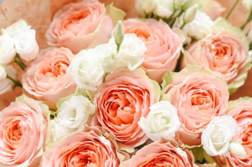 beautiful light rose flowers with eustoma. - garden decoration stock pictures, royalty-free photos & images