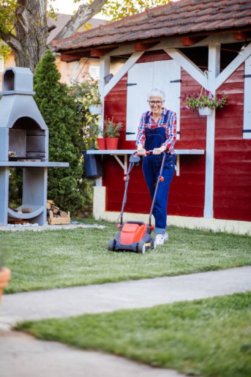 beautiful mature women using a lawn mower in her backyard cutting the grass - garden decoration stock pictures, royalty-free photos & images