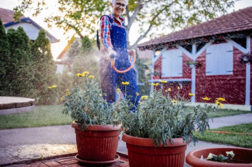 beautiful mature women watering garden - garden decoration stock pictures, royalty-free photos & images