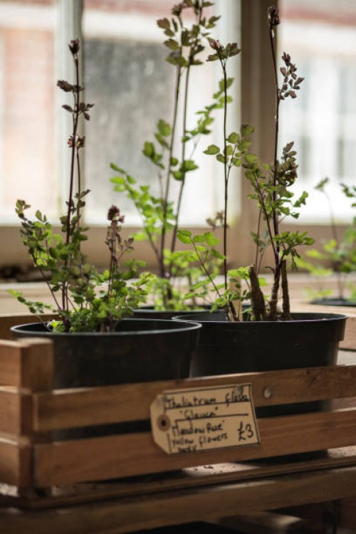 beautiful old vintage english countryside garden potting shed in - garden decoration stock pictures, royalty-free photos & images