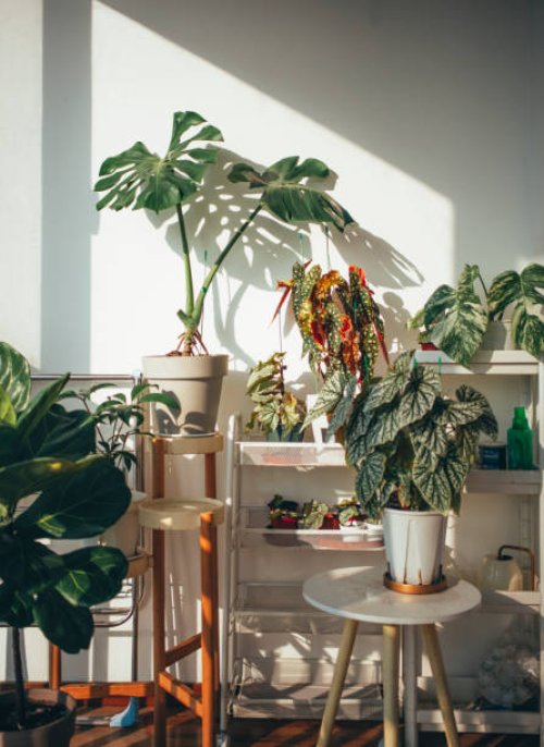 beautiful plants in balcony - garden decoration stock pictures, royalty-free photos & images