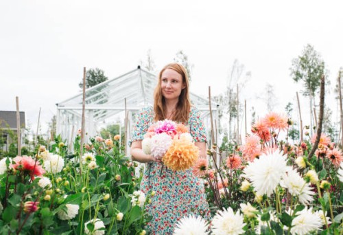 beautiful portrait of woman standing amongst her dahlias's at home - garden decoration stock pictures, royalty-free photos & images