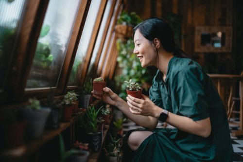 beautiful smiling young asian woman taking care of her houseplants in the balcony. enjoying her time at home. going green lifestyle - home decoration stock pictures, royalty-free photos & images