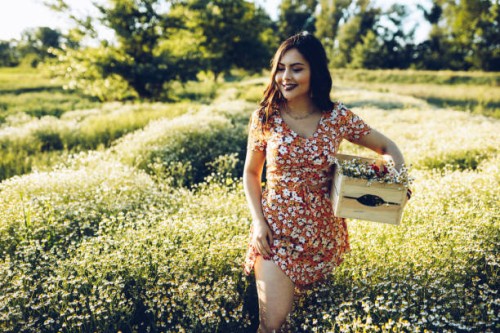 beauty and chamomile field - garden decoration stock pictures, royalty-free photos & images