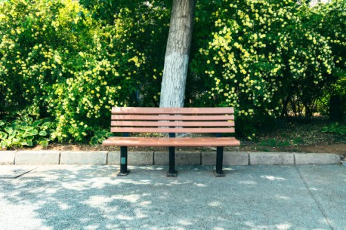 bench in the park - garden decoration photos et images de collection