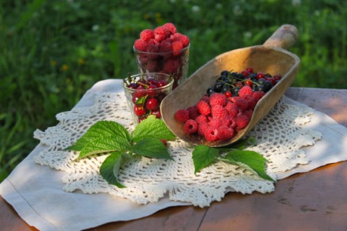 berries red black currants raspberries cherries on linen napkin on wooden table on grass background - garden decoration photos et images de collection