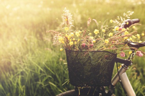 bicycle in the field with basket of wildflowers. - garden decoration stock pictures, royalty-free photos & images