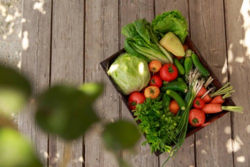 bio food. garden produce and harvested vegetable. fresh farm vegetables in wooden box. carrots and beets. tomatoes, cucumbers, cabbage, parsley, salad - food stock pictures, royalty-free photos & images