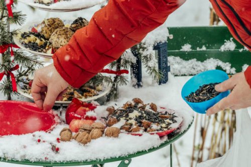 bird feeder - garden decoration stockfoto's en -beelden
