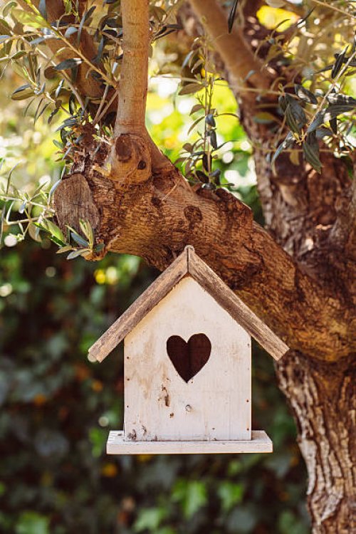 bird house in tree - garden decoration stock pictures, royalty-free photos & images