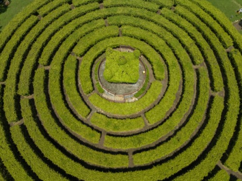 bird's-eye view of the maze garden - garden decoration stockfoto's en -beelden