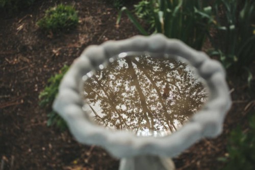 birdbath reflaction - garden decoration stock pictures, royalty-free photos & images