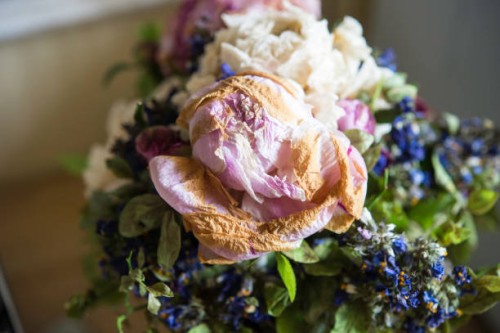 birthday bunch of rotten flowers - garden decoration stock pictures, royalty-free photos & images