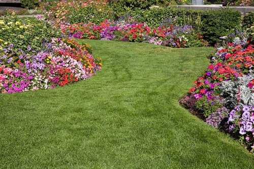 blank blue screen background image - garden decoration stock pictures, royalty-free photos & images