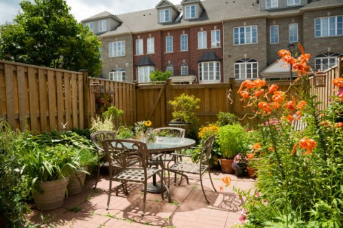 blooming tigre lys dans un jardin - garden decoration photos et images de collection