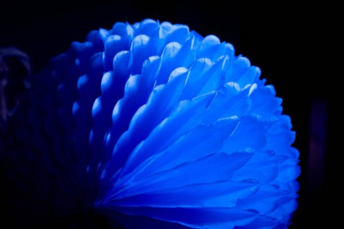 blue - garden decoration stock pictures, royalty-free photos & images
