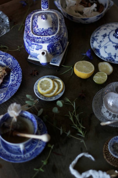 blue breakfast - garden decoration stock pictures, royalty-free photos & images