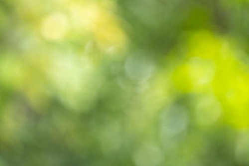 blur abstract background - garden decoration stock pictures, royalty-free photos & images