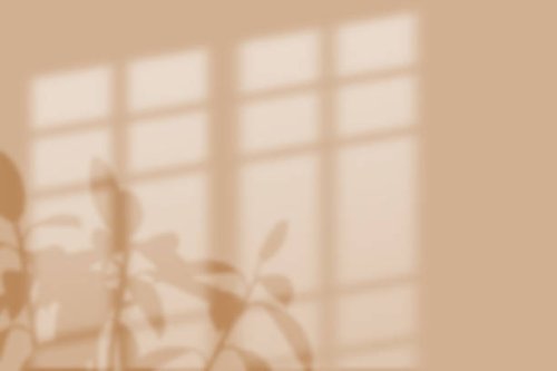 blurred flowers shadow wall pastel beige background. - home decoration stock pictures, royalty-free photos & images