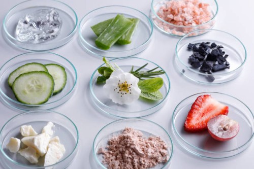 boîtes de petri avec des ingrédients cosmétiques biologiques - food photos et images de collection