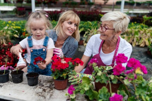 botanical garden, family business - garden decoration stock pictures, royalty-free photos & images
