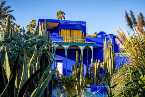 botanical garden jardin majorelle in marrakesh, morocco - garden decoration stock pictures, royalty-free photos & images