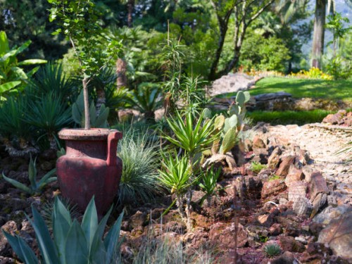 botanical garden on brissago island, lake maggiore - garden decoration stock pictures, royalty-free photos & images