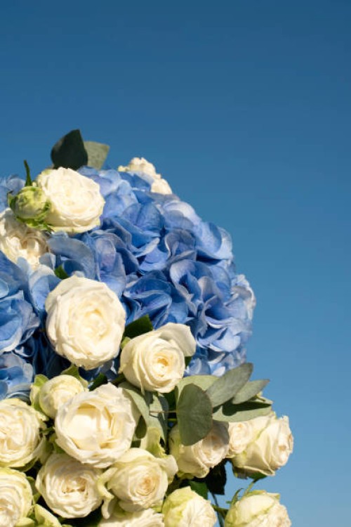 bouquet of hydrangea and branch rose. exotic flowers. floral background. holiday card. mothers day. women's day. holiday. hi spring. - garden decoration stock pictures, royalty-free photos & images