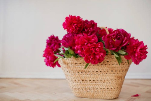 bouquet red peonies in wicker basket - garden decoration stock pictures, royalty-free photos & images