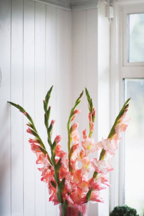 bouquets in stylish home - garden decoration stock pictures, royalty-free photos & images