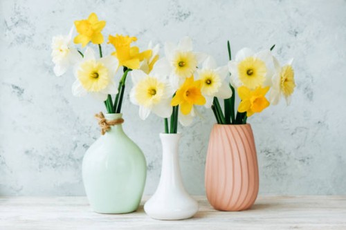 bouquets of bright white and yellow daffodils in a variety of colored vases close-up - garden decoration stock pictures, royalty-free photos & images
