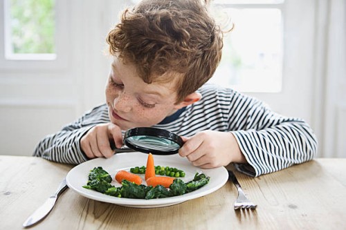 boy (7-9) peering over magnifying glass on dinner - food stock pictures, royalty-free photos & images
