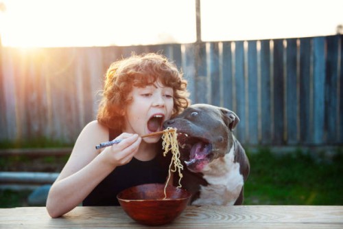 boy and dog eating ramen - food stock pictures, royalty-free photos & images