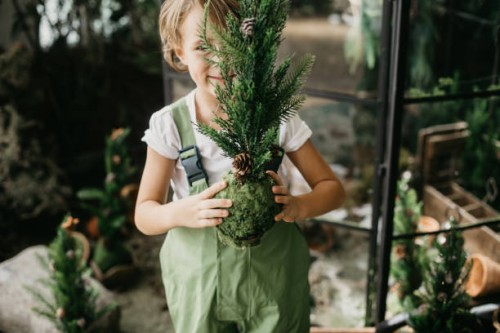boy holding a small christmas tree and smiling behind - garden decoration stock pictures, royalty-free photos & images