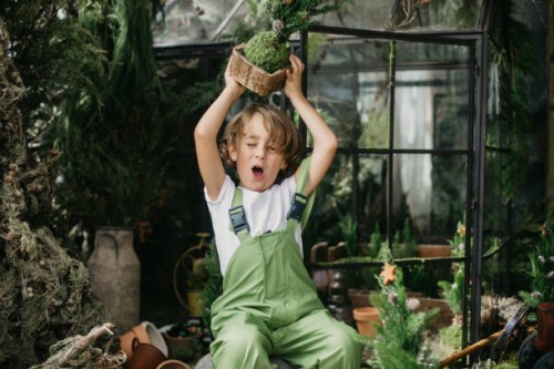 boy in front of a greenhouse holding a christmas tree over his head with mouth open - garden decoration stock pictures, royalty-free photos & images