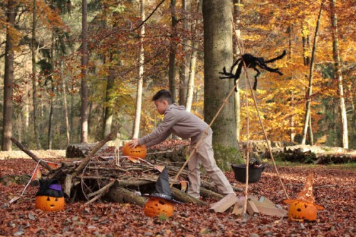 boy is diligently preparing a halloween party set up in the woods. - home decoration stock pictures, royalty-free photos & images