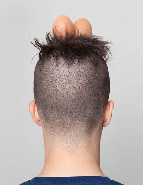 boy with hair in nest shape and two eggs - hairstyle stock pictures, royalty-free photos & images