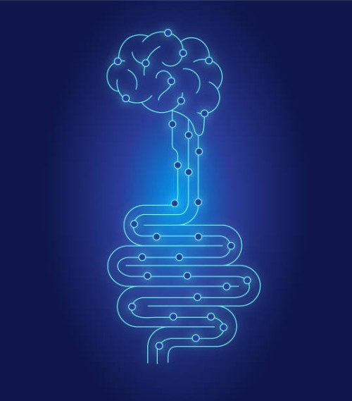 brain gut connection health concept human intestine with bacteria on blue gradient background - junk food stock illustrations