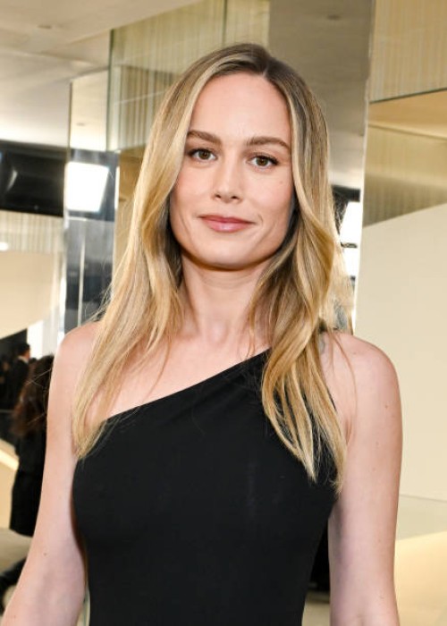 Brie Larson at Michael Kors RTW Fall 2024 as part of New York Ready to Wear Fashion Week held on February 13, 2024 in New York, New York.