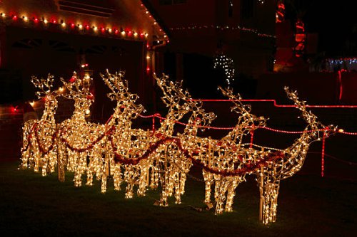 brightly lit christmas reindeer - garden decoration stock pictures, royalty-free photos & images