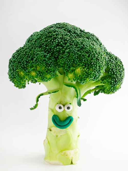 broccoli portrait - food stock pictures, royalty-free photos & images