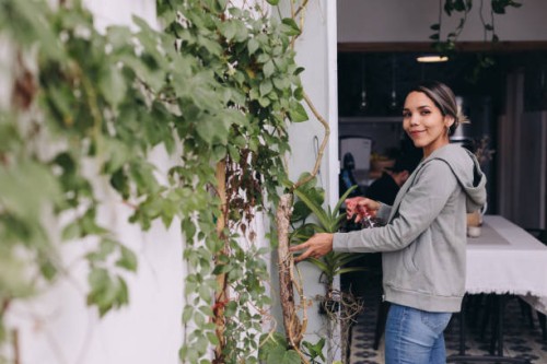 brown skin woman in a house caring the plants - garden decoration stock pictures, royalty-free photos & images